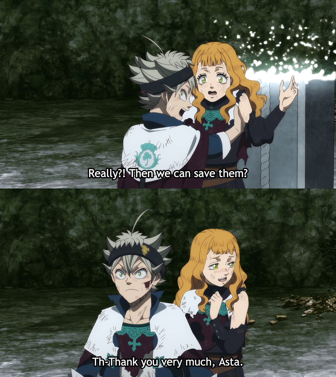 Daily Mimosa Vermillion 🧡 tweet media