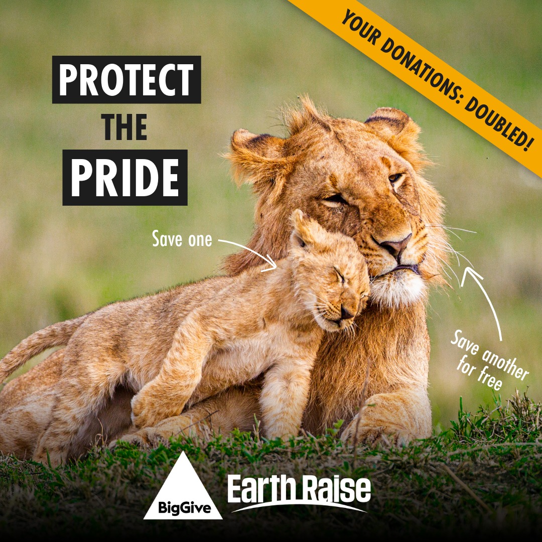 Born Free Foundation tweet media