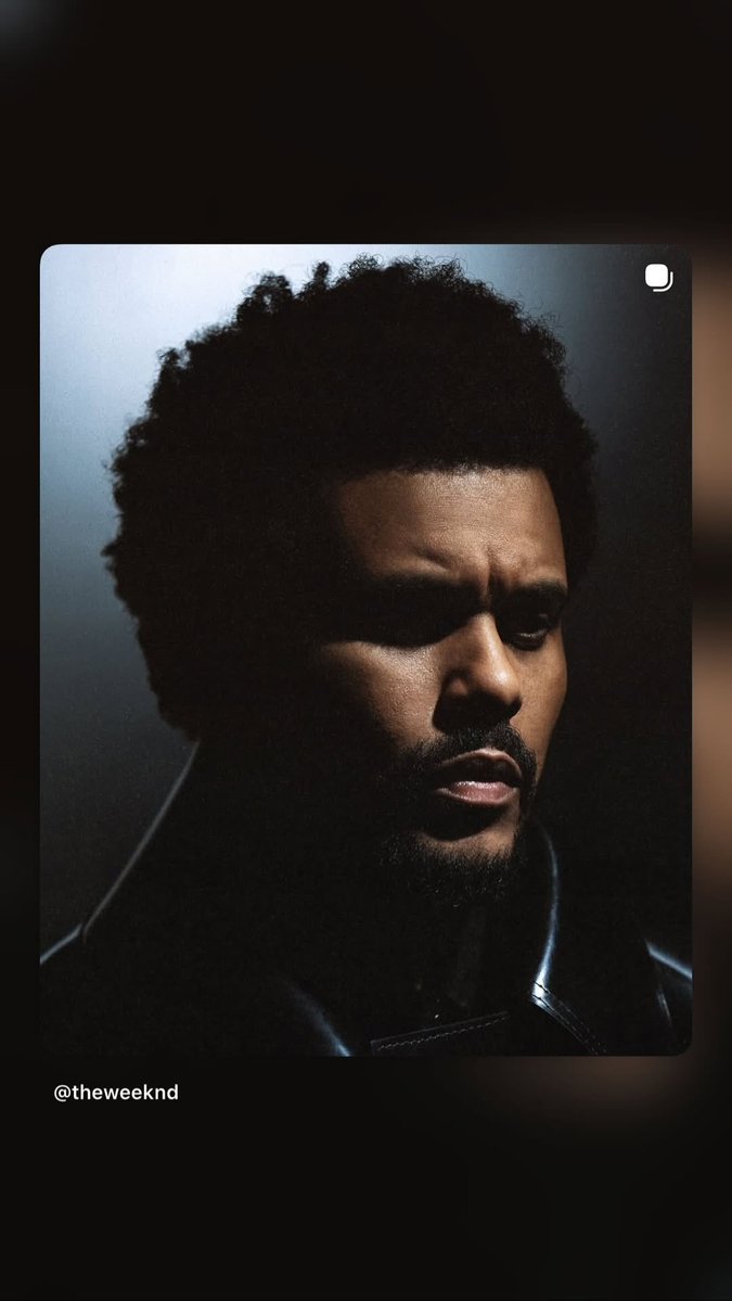 Shelly e Pundao Brasil 🇧🇷 tweet media