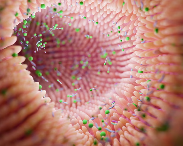 ManfredSaueruk's tweet image. #WisdomWednesday: Gut microbiome can reveal risk of Parkinson’s, scientists say! 🧐

Study shows signature changes more pronounced in people with genetic risk, raising hopes for new therapies &amp;gt; ow.ly/Qxxh50YNvwc

#GutHealth #Diet #Parkinsons