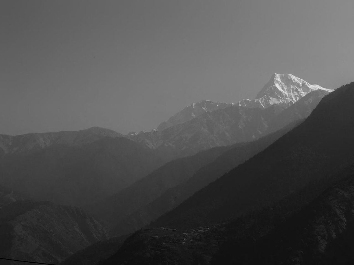 Asha15197409's tweet image. These forests were supposed to look red, instead they look green. The peak Rhododendron flowering period is missing this year. The onset of the 2026 summer in the Himalayas witnessed snowfall, hailstorms, rainfall, and extreme cold, damaging budding Rhododendron. 

#ClimateChange