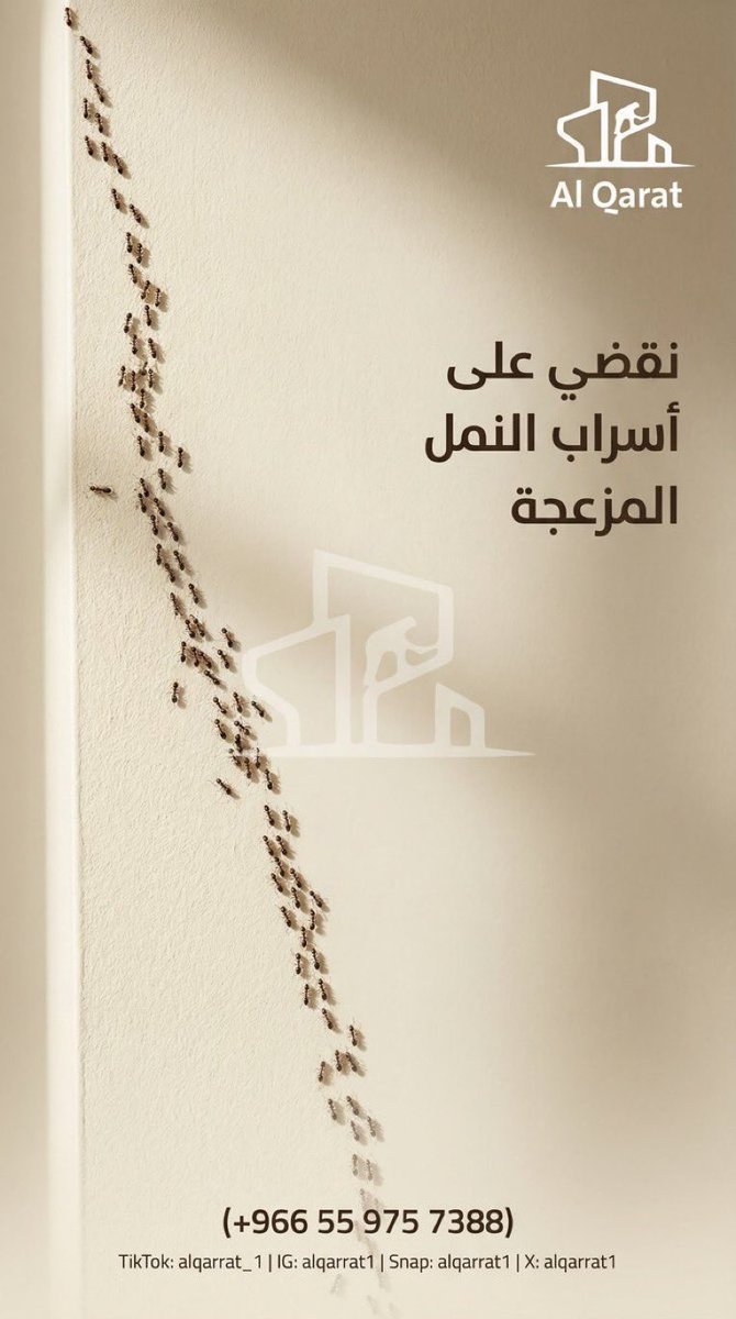 اعمال القارات لخدمات النظافة tweet media