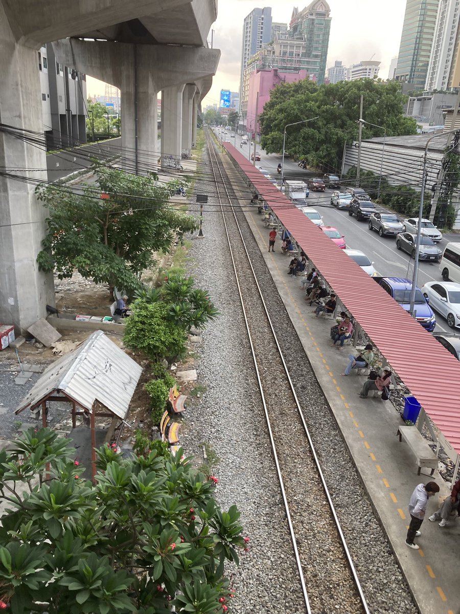 バンコク犬偵察(トトロム) tweet media