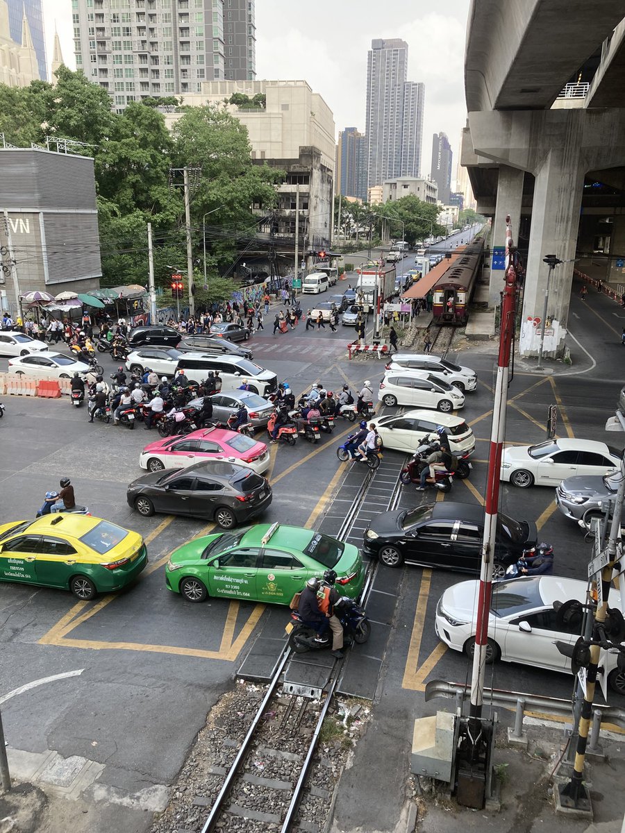 バンコク犬偵察(トトロム) tweet media