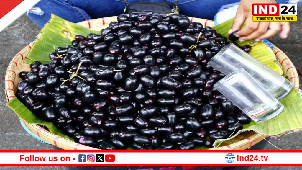 IND24MEDIA's tweet image. जामुन की जड़ों से निकली कहानी, क्या बदल जाएगी वैज्ञानिक दुनिया की सोच?

ind24.tv/national/jamun…

#ScientificDiscovery #NatureMystery #Botany #AncientLife #ScienceNews #TreesOfIndia #NatureLovers #Biodiversity #EcoSystem