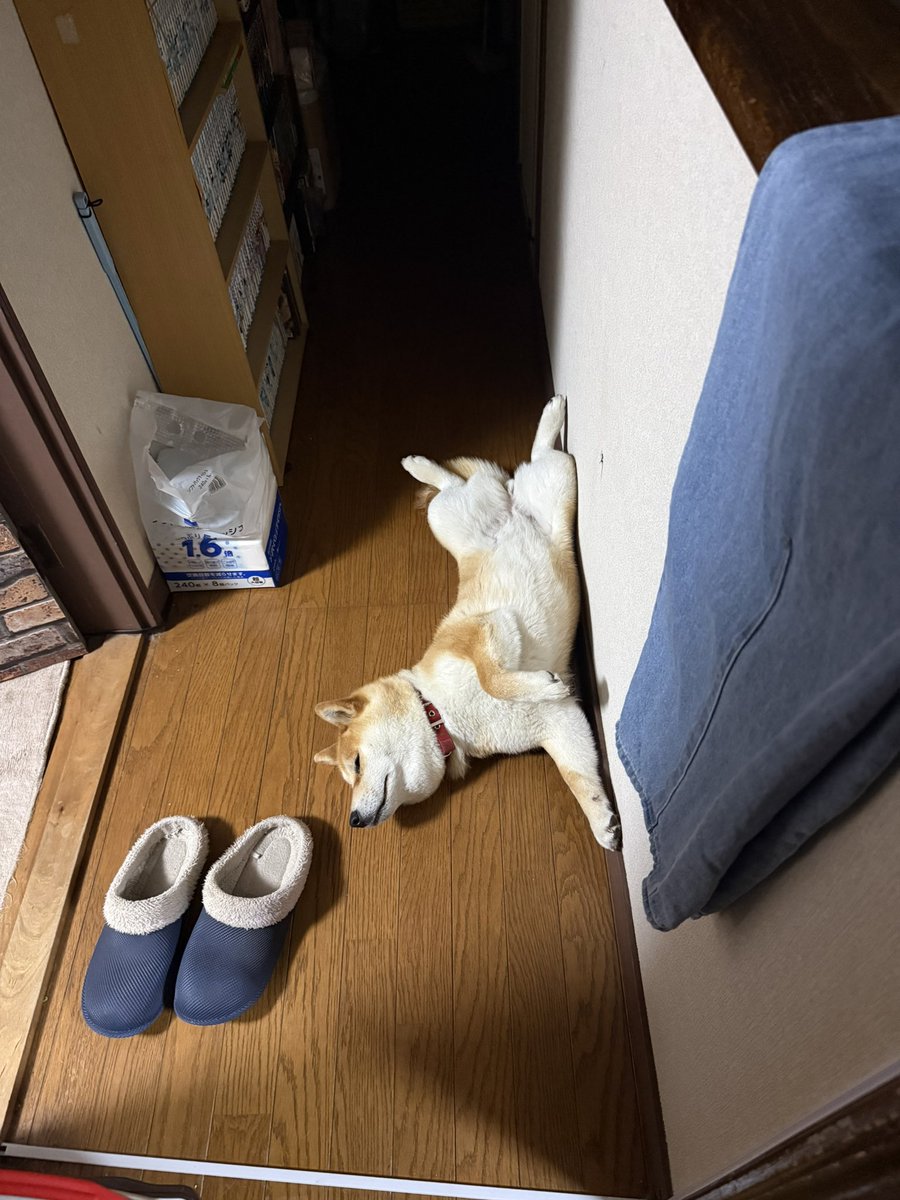 ナオチャ tweet media