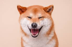 애츠 (항시 트친소,스트리머,작업자 서버 모집 중) tweet media