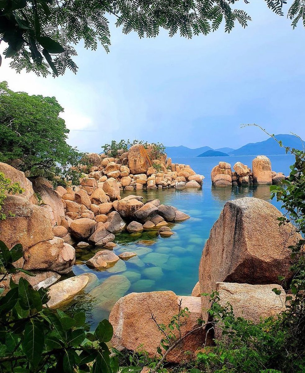 African News tweet media