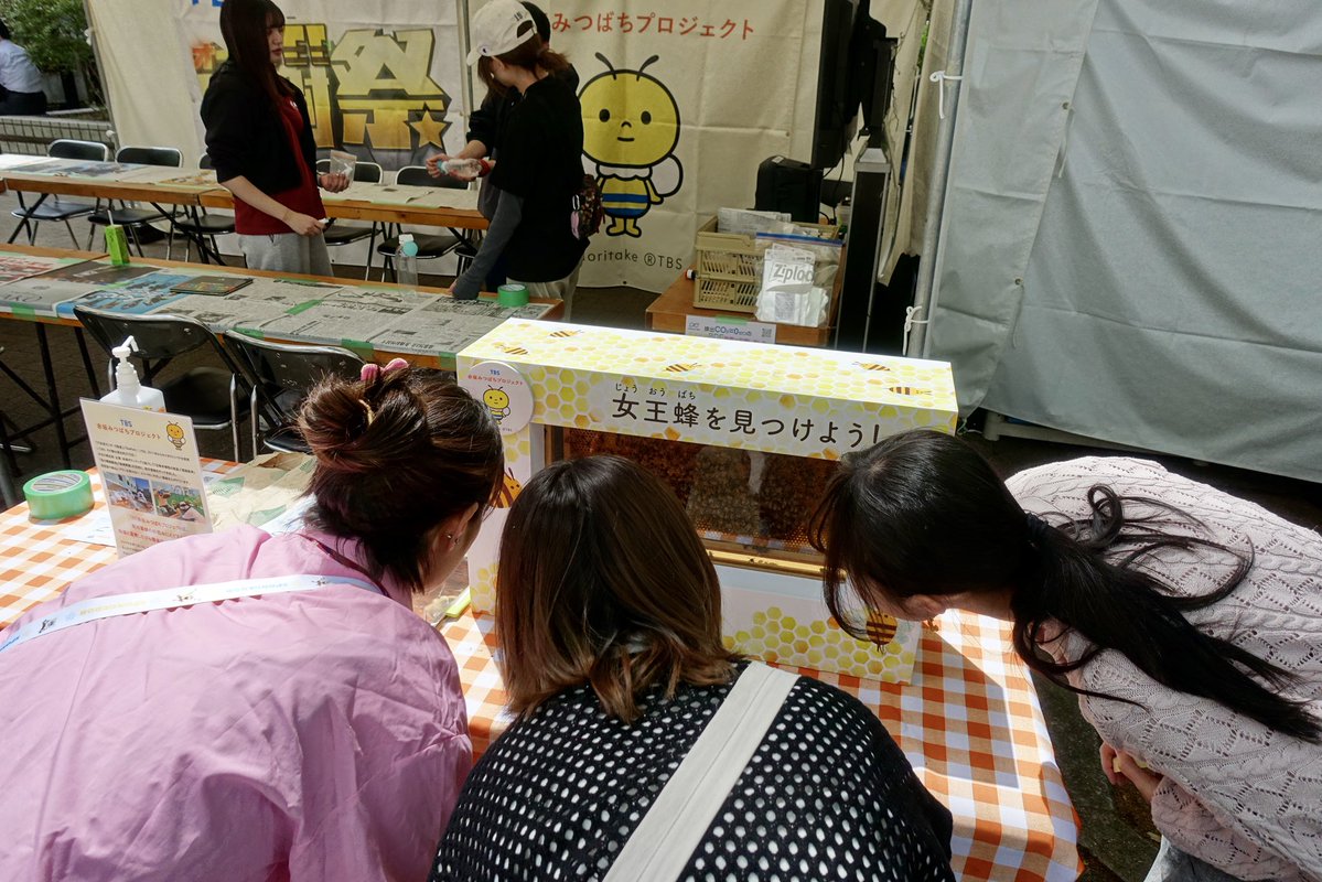 4月22日は #アースデイ。本日に先駆けて、#アースデイ東京2026 に出展してきました。運営にはゼミ生2人と1年生2人が参加し、ゼミOBOGも応援に来てくれました。お越しいただいた皆さん、どうもありがとうございました！#鶴見大学短期大学部 #保育 #環境教育 #日本インタープリテーション協会