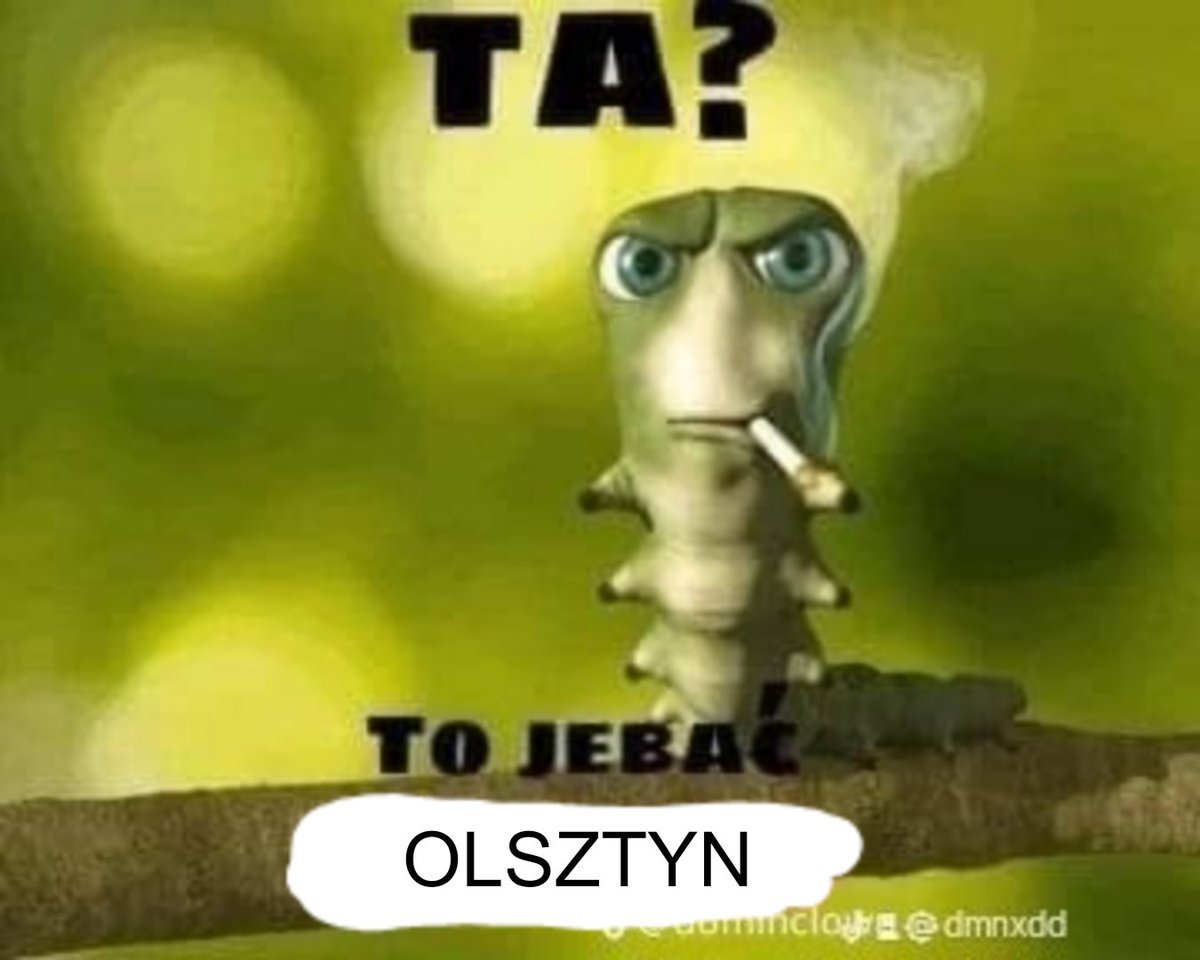 jebać olsztyn daily tweet media