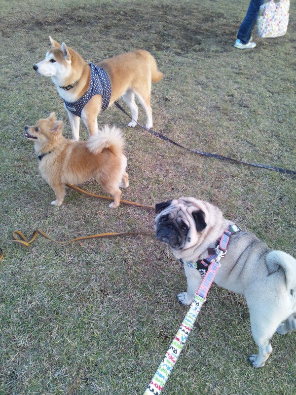 ほりどん tweet media