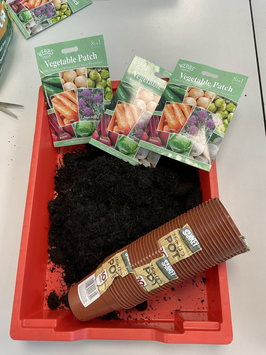 Marshfield Primary tweet media