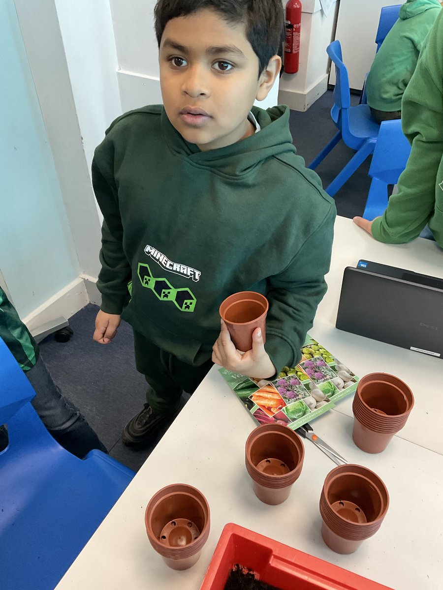 Marshfield Primary tweet media