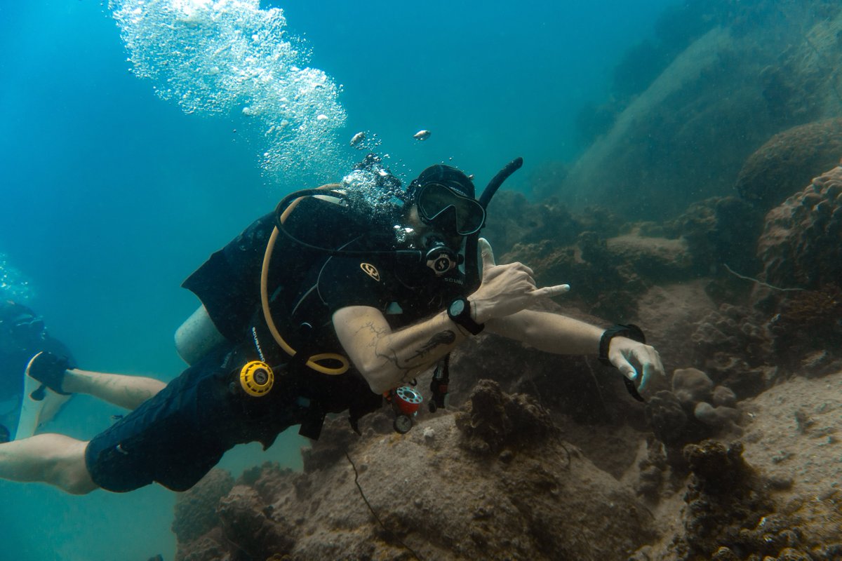 GoProIDCKohTao's tweet image. For ALL Pro Level Courses &amp;amp; Internships, Click Book Online, submit the form to us and we will email you payment details and a request for payment before confirming your booking. idckohtao.com #Thailand #professional #Pro #Instructor #PADI #KohTao #Internships #Cost