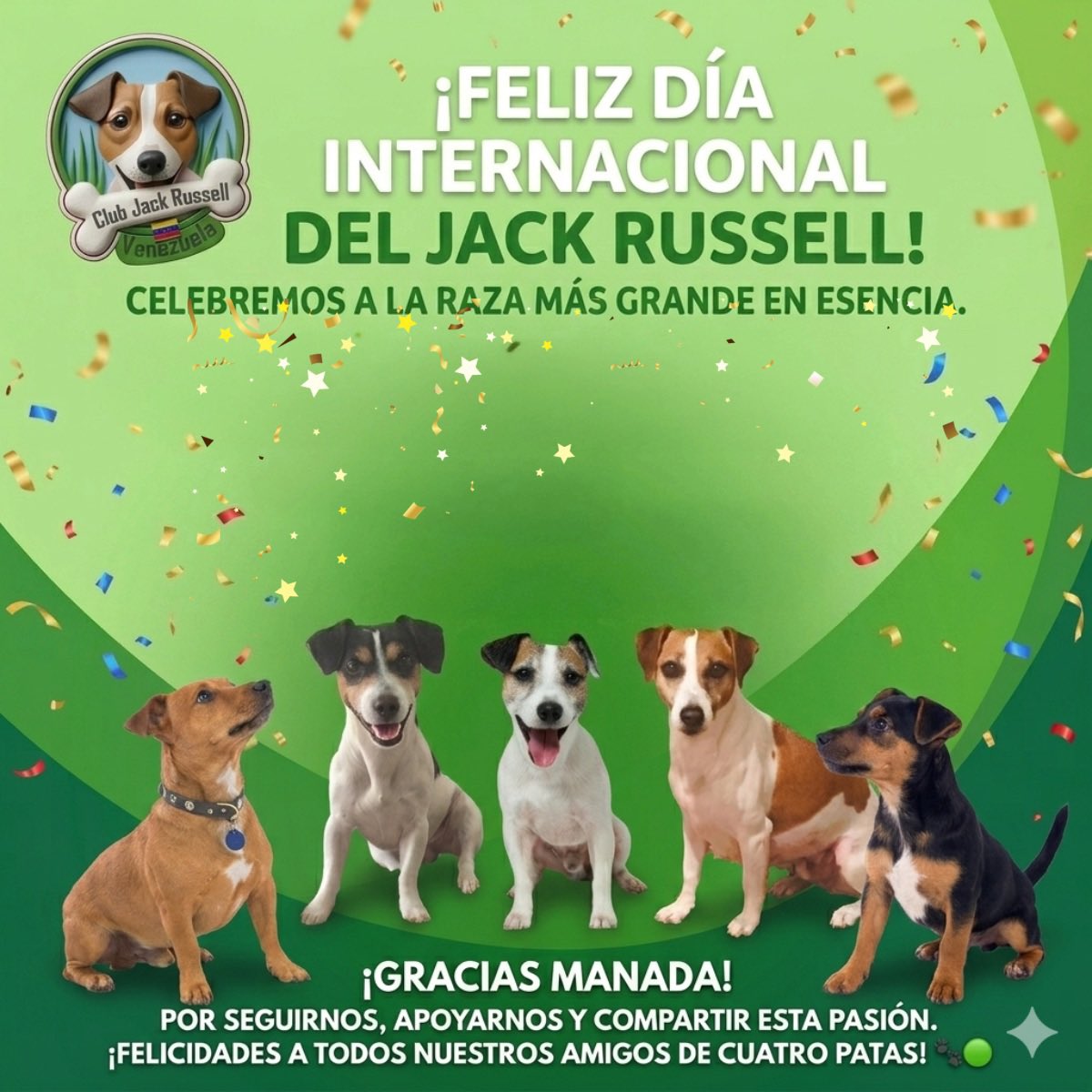 JackRussellVzla's tweet image. ¡Feliz día internacional del #JackRussell!

Celebremos a la raza más grande en esencia.

¡GRACIAS MANADA!
Por seguirnos, apoyarnos y compartir esta pasión por nuestros narizones!

¡FELICIDADES A TODOS NUESTROS AMIGOS DE CUATRO PATAS!