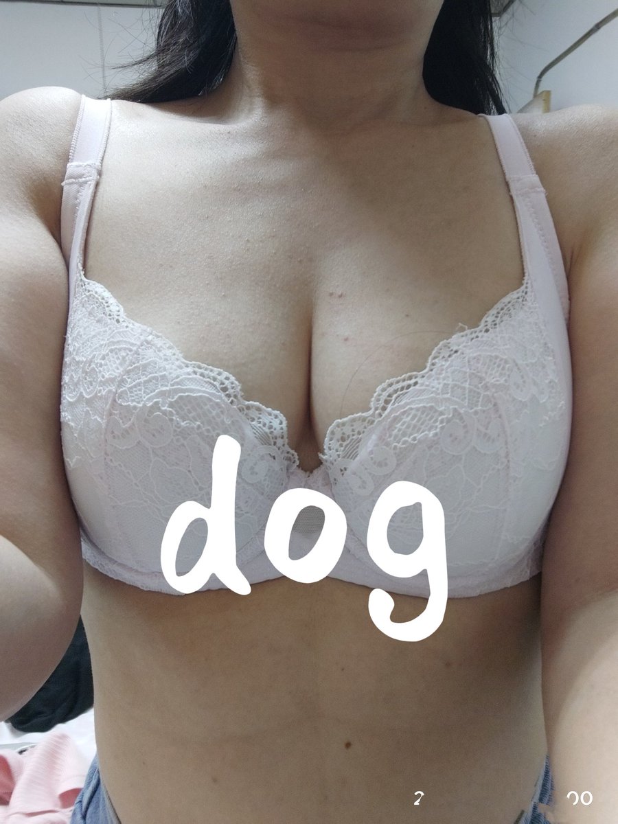 sexdog tweet media