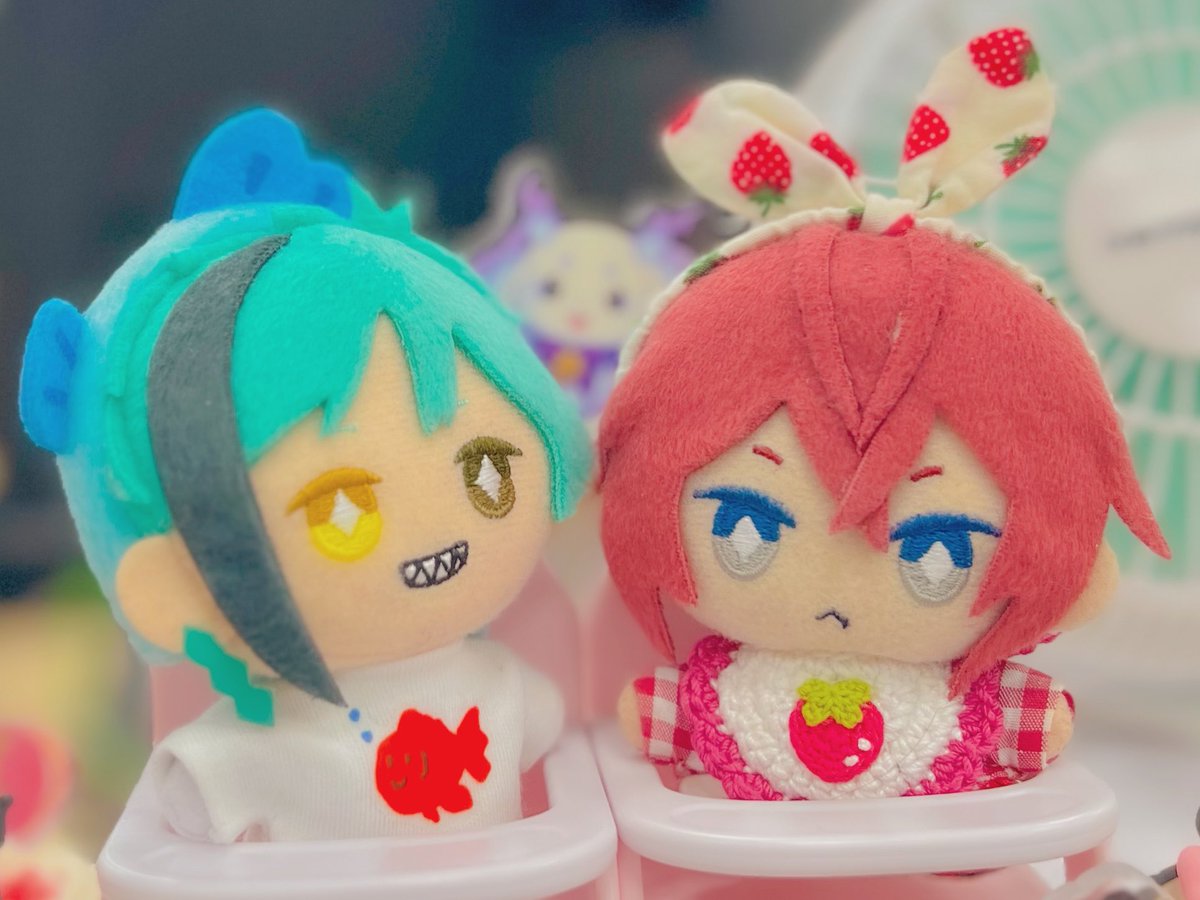本日の同伴出勤ぬい🍼
暑そうだったので、久々のリボン🎀
