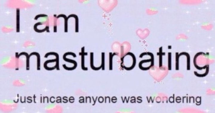 v 𑣲⋆｡˚ tweet media