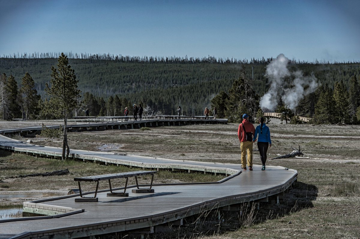 Traveling alone is nice, but it's even better when you do it with someone.

take by <a href="/teslachoi/">teslachoi테초이</a>  Yellowstone National Park
