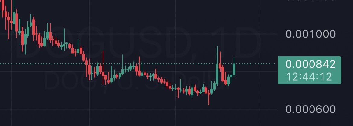 Feeling going to the Moon $DOG. You?