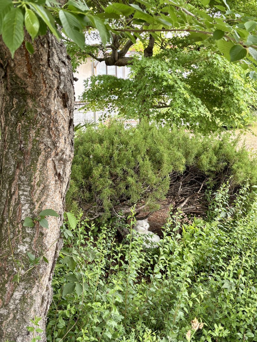 テチガイ tweet media