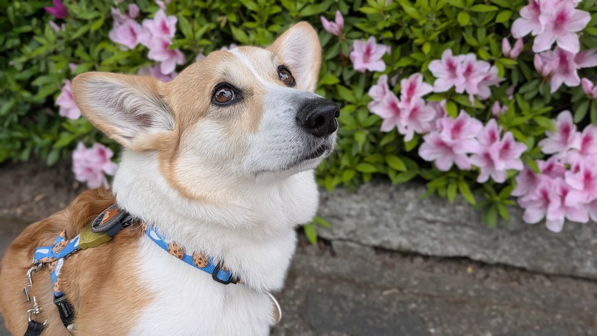 コジとしんのかぁしゃん(kazu) tweet media