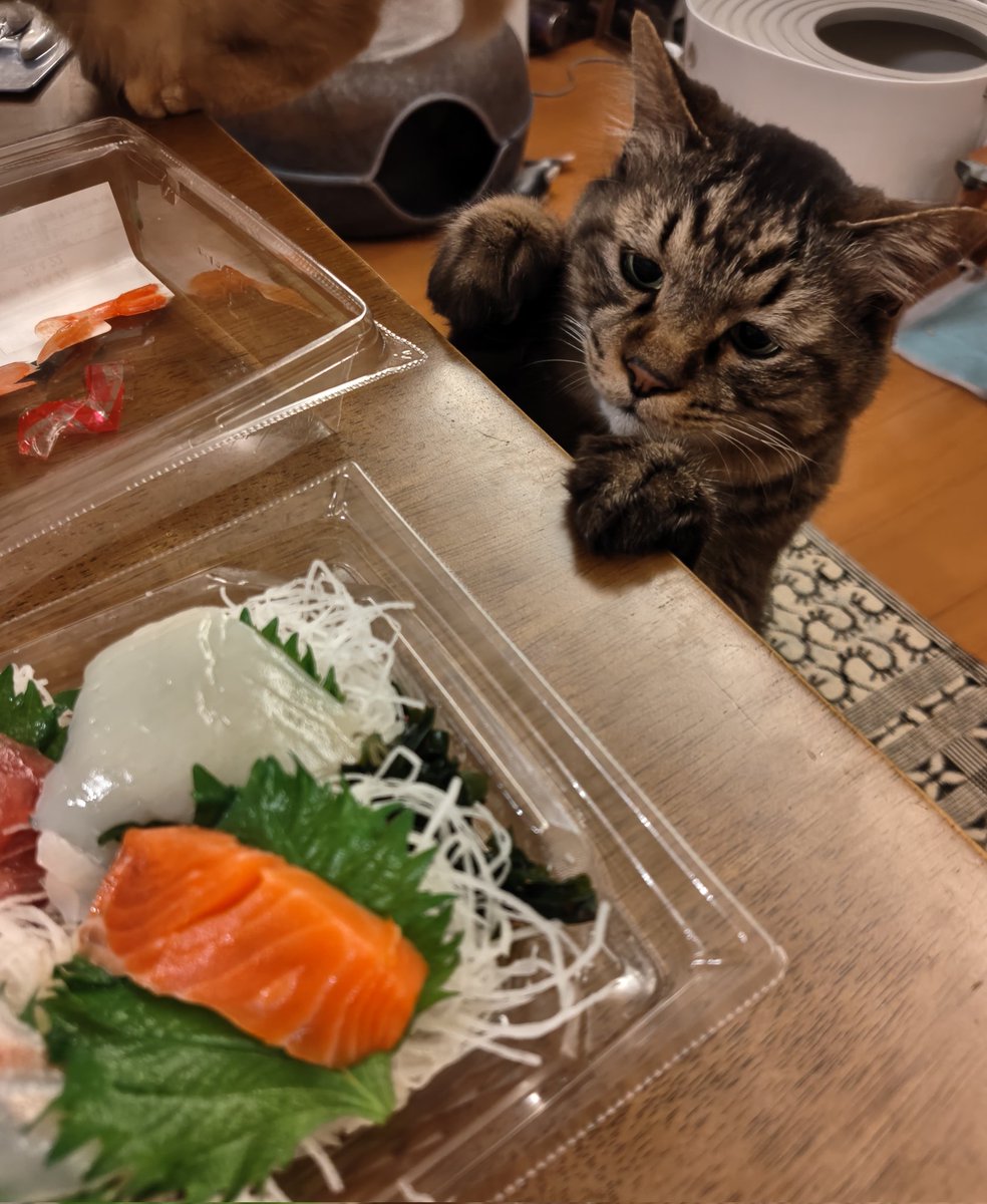 朱月@ヤリスクロスの民 tweet media