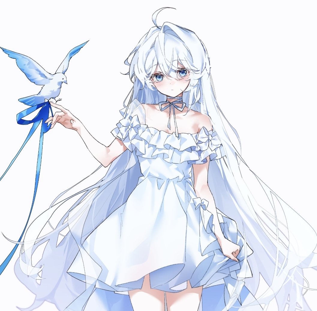白花 tweet media