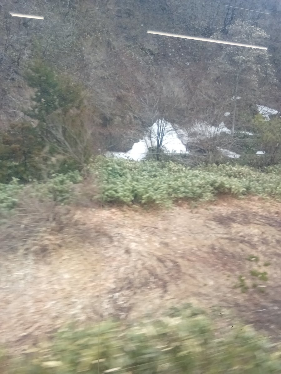 skyscraper185 tweet media