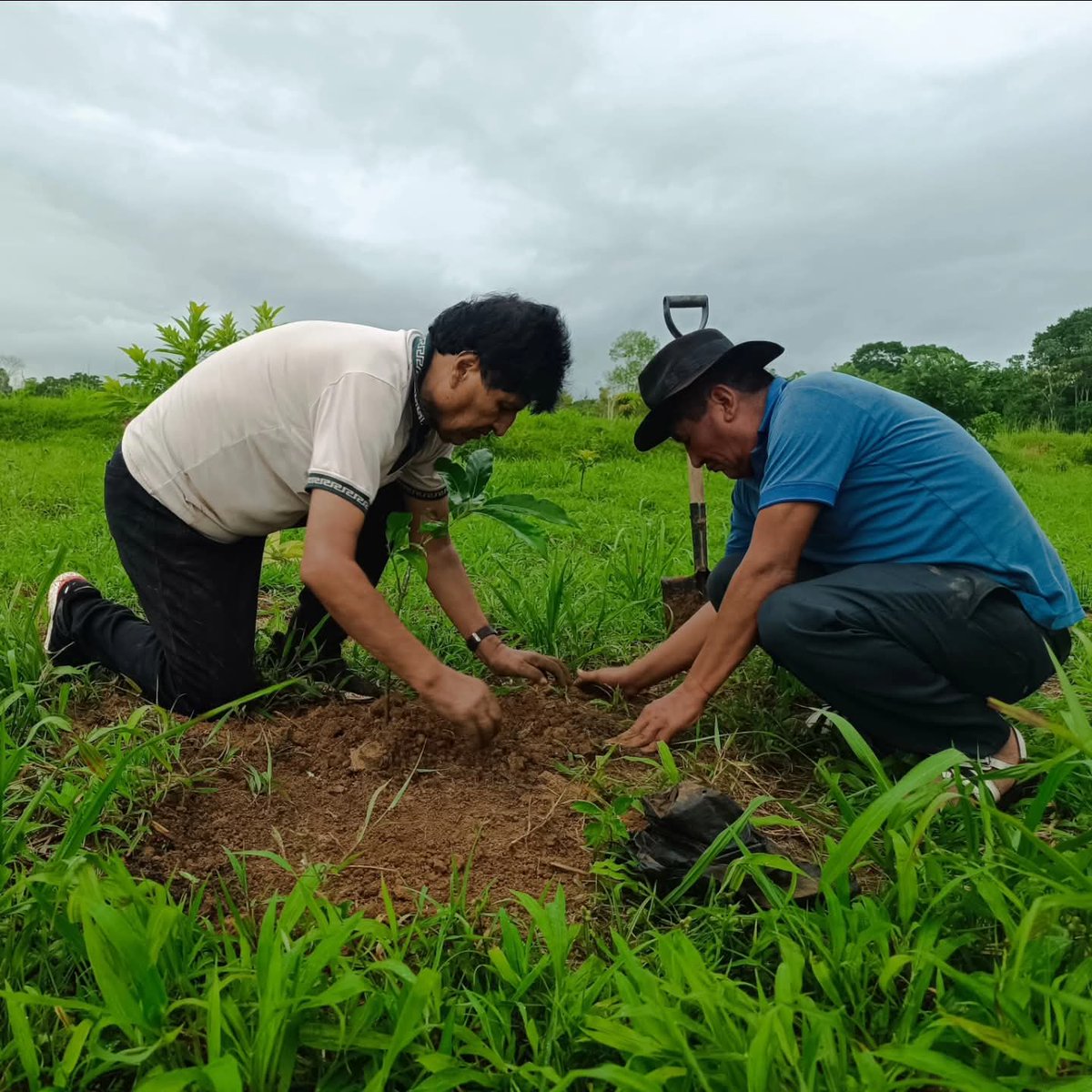 Evo Morales Ayma tweet media