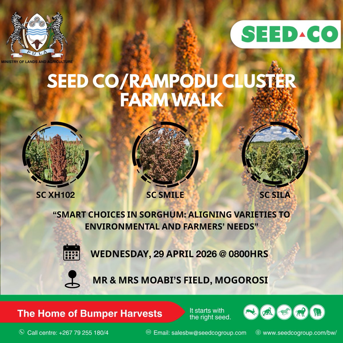 Seed Co Botswana tweet media