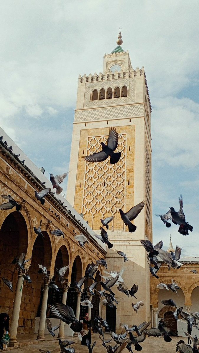 طــالــوم الــذهبــي tweet media