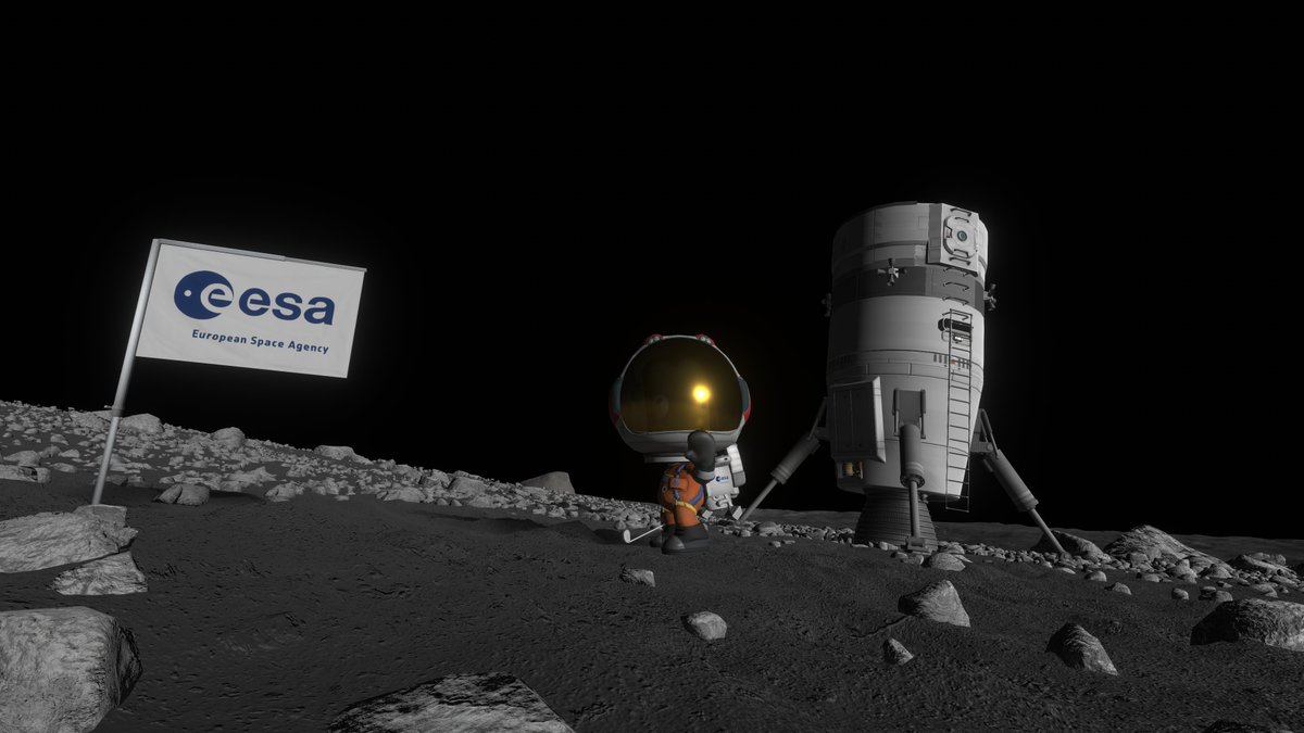 Rin | 凛 tweet media