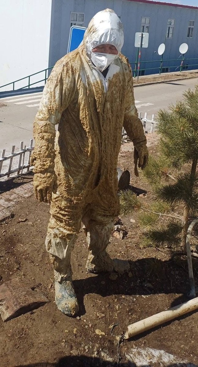 Цээцэг  tweet media