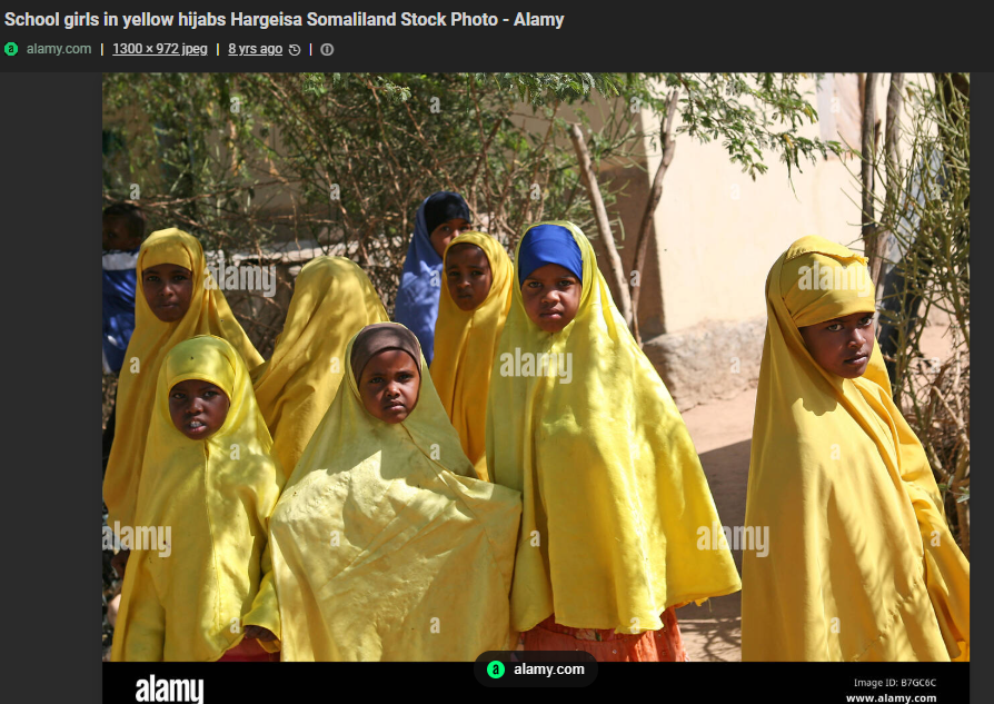 Muslim girl fight Tv tweet media