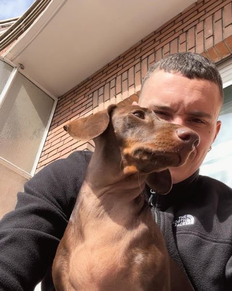 ᴘɪᴘᴇʀ tweet media