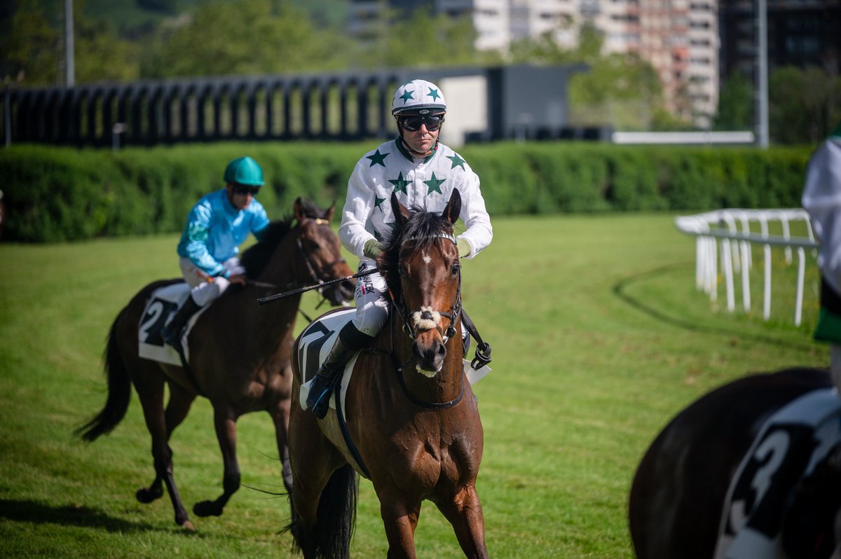 Hipódromo de San Sebastián - Donostiako Hipodromoa tweet media