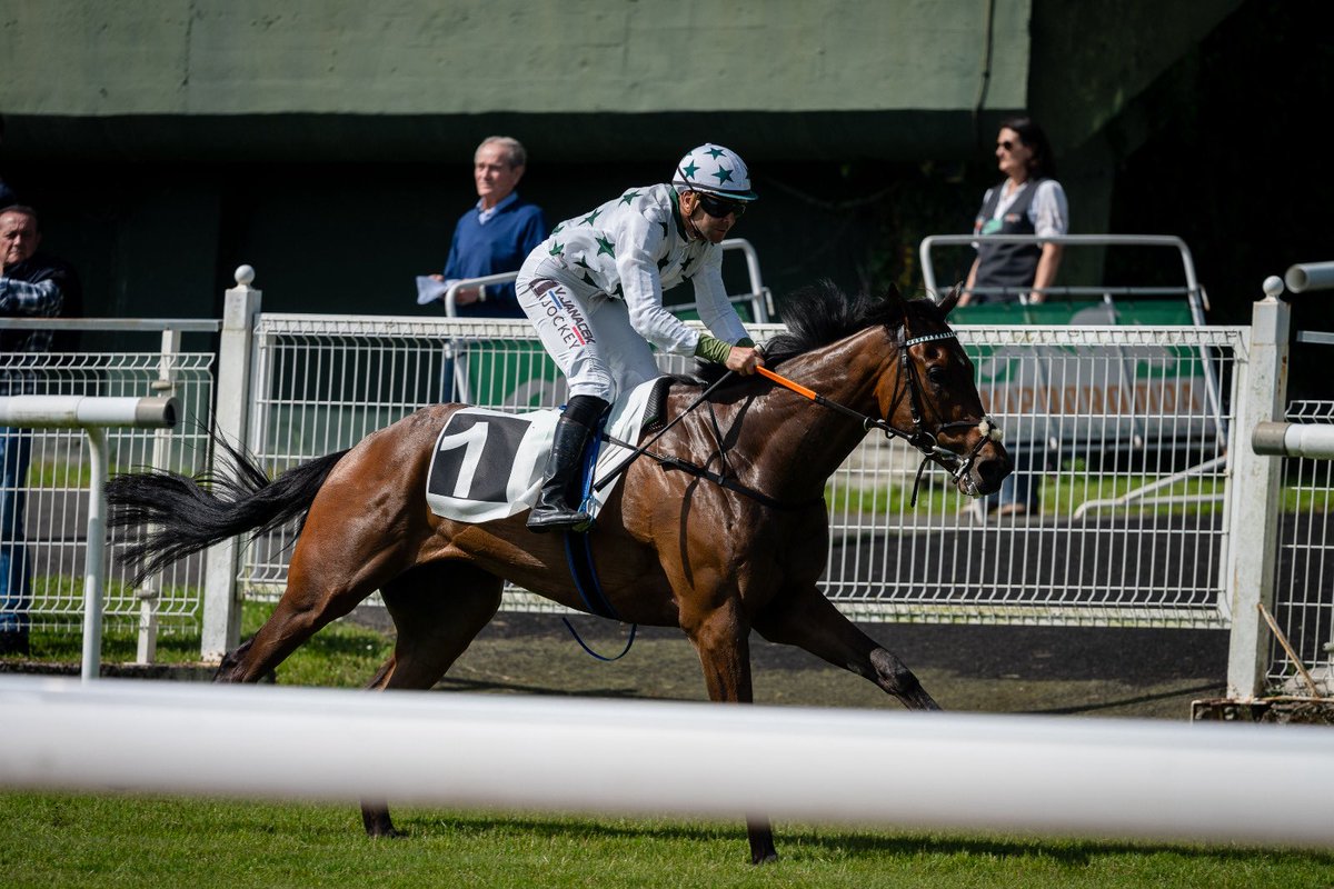 Hipódromo de San Sebastián - Donostiako Hipodromoa tweet media