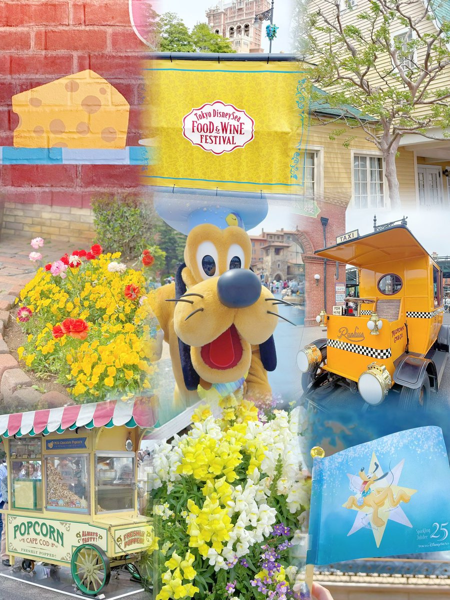 mih0ffline's tweet photo. ディズニーシーで流行りのカラーハント🩵💛
プルートのフラッグ持ってたからブルーとイエローにしてみた·͜· ︎︎ᕷ

 #colorhunters https://t.co/1xkcTwh9Jr
