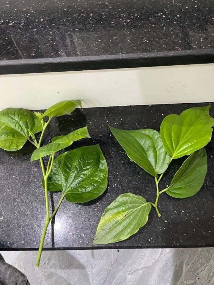 Nguyễn Thị Linh ❤️ tweet media