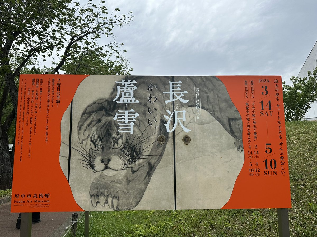 さくら🌈 tweet media