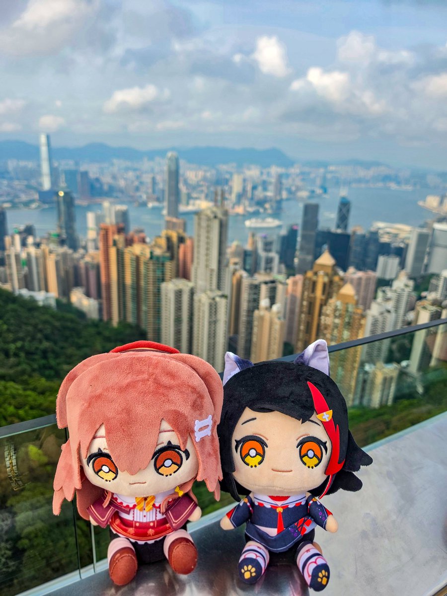 せさん🥐 tweet media