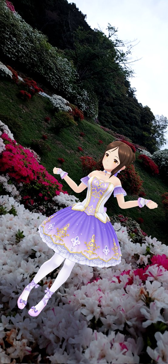 ひむち_DX🍎/きむち大福🦋 tweet media