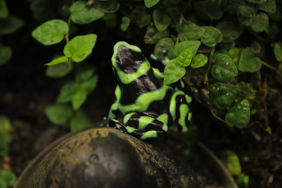 록 우디🐸 tweet media