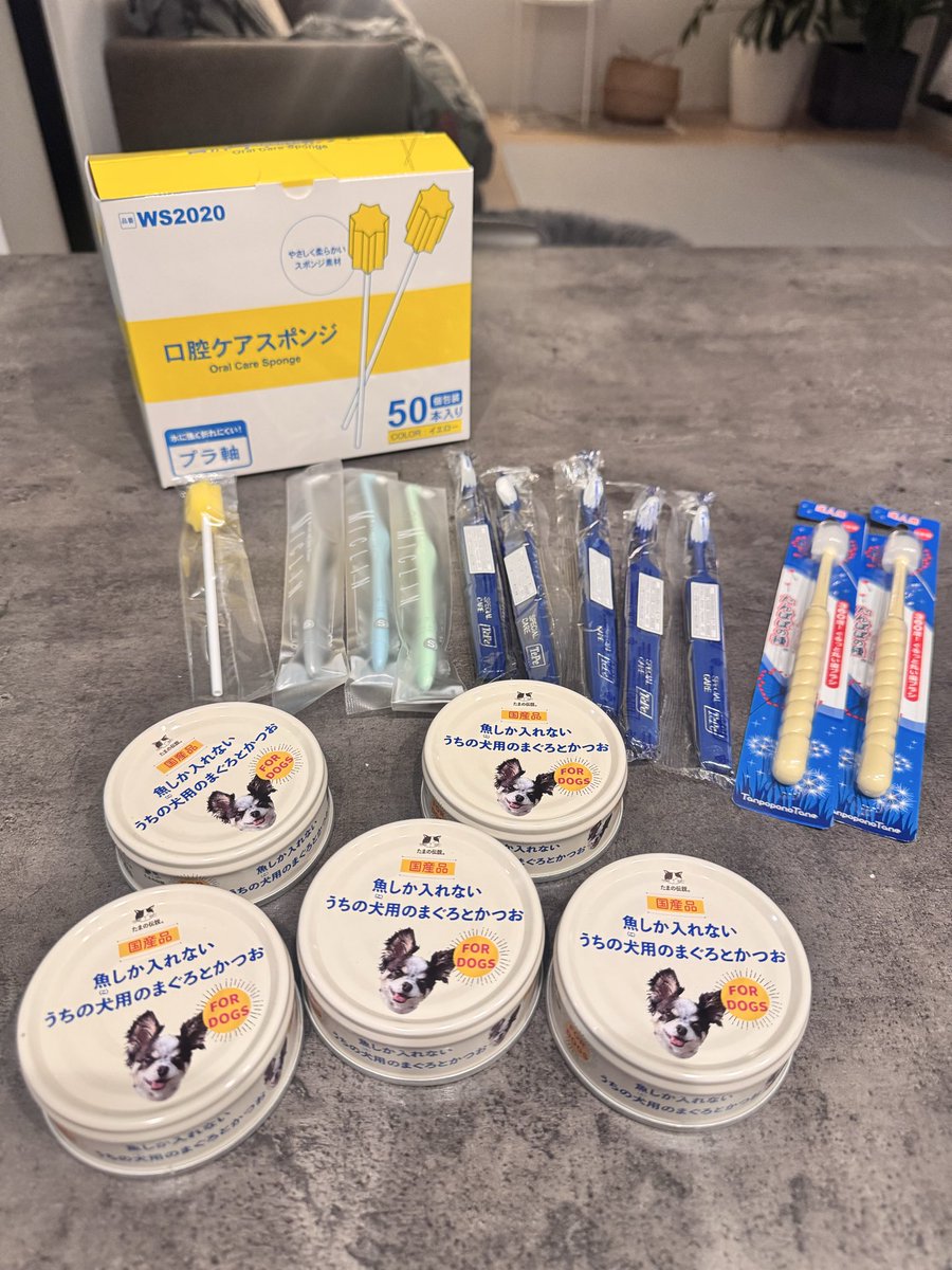 ______mee______'s tweet photo. 買い過ぎたかもしれない。part2

何がって、歯ブラシ🪥ありすぎじゃね？

マグロ缶はお安いのに、余計なもの入ってなくて安心の日本製でシンプルに美味しいらしくて
最近のお気に入り😋 https://t.co/Vn7HDKLldx