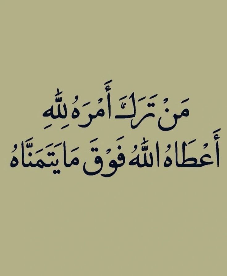 المُزن tweet media