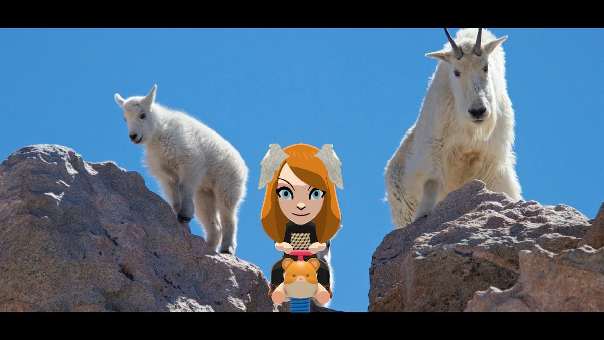 🪷 Willow AspirinJuice🪷 (she/her) tweet media