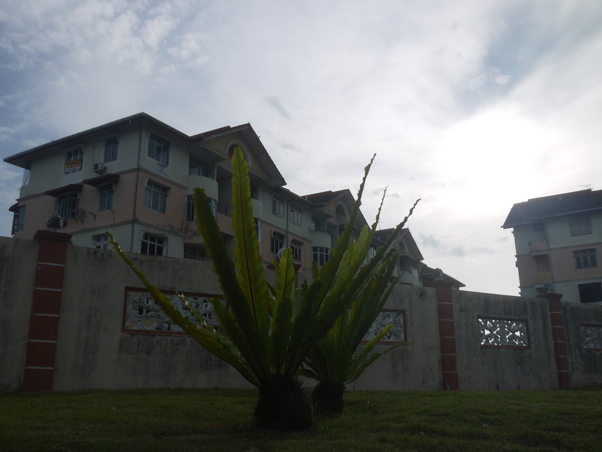 Habu Chan tweet media