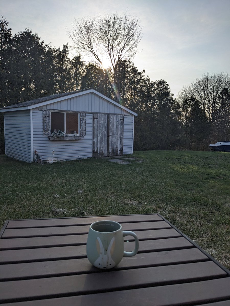 CritterCamGorilla😊 tweet media