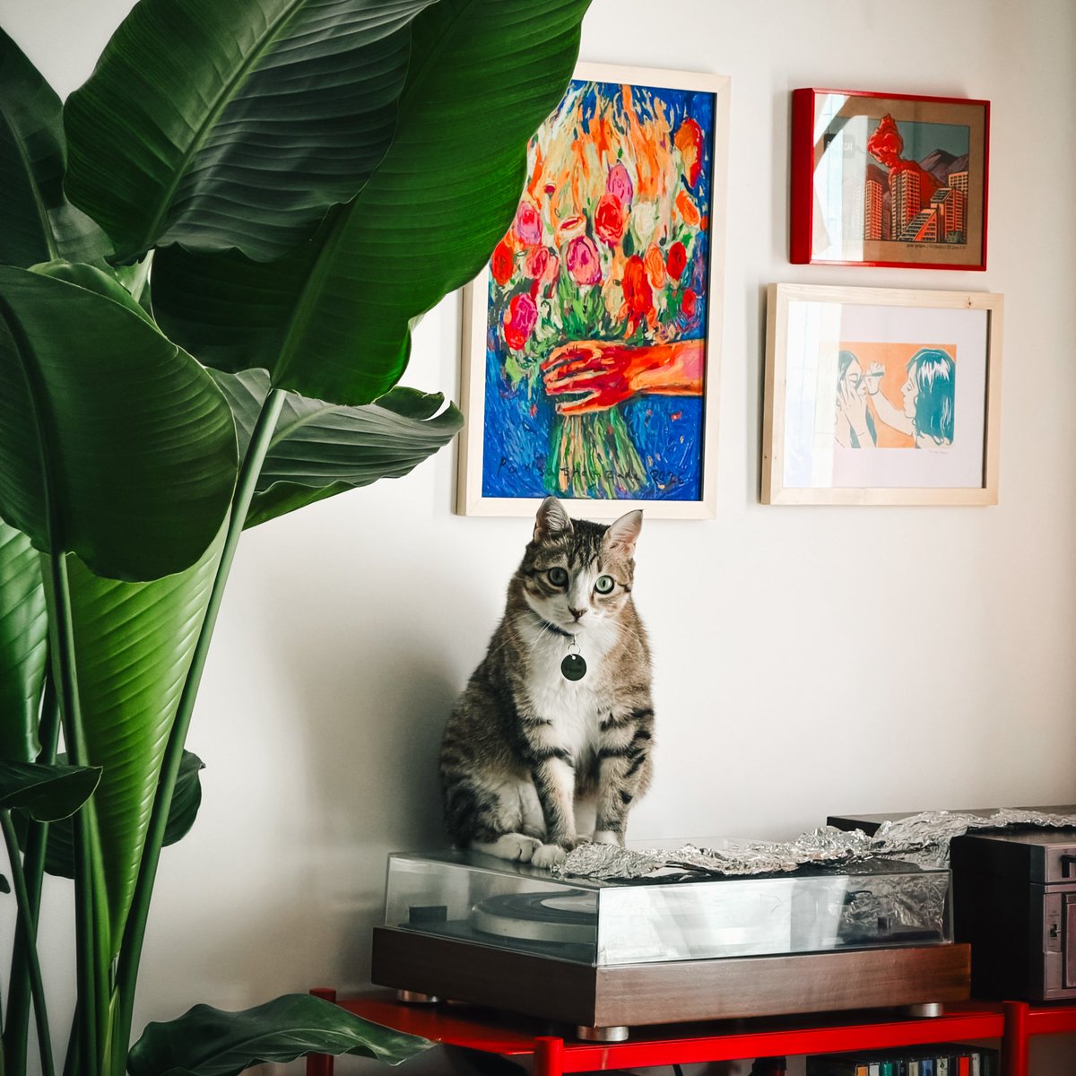 ایران tweet media